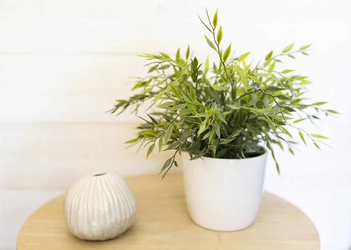 Maison De Vacance Avec Piscine Proche De La Les Sables-dʼOlonne