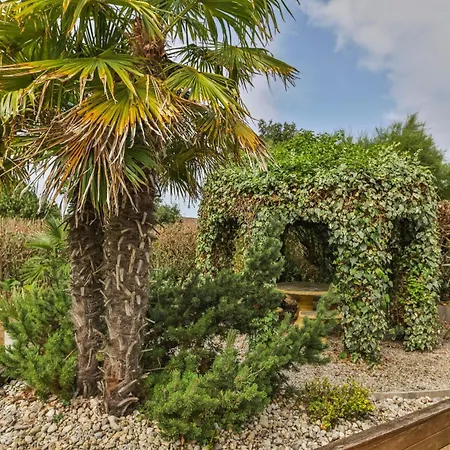 Oasis 144 *