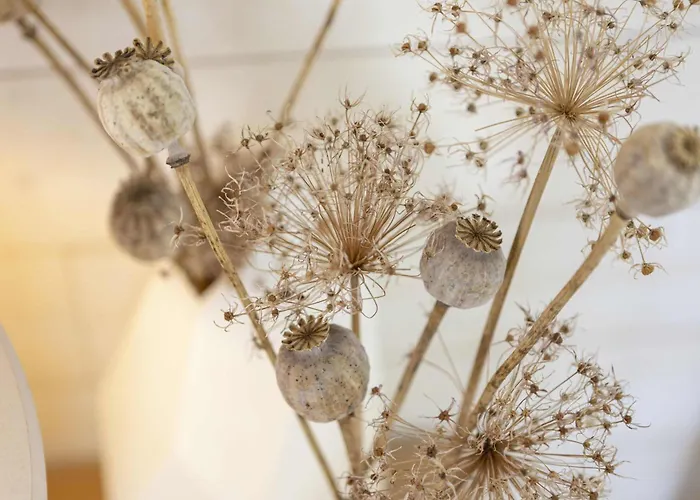 Maison De Vacance Avec Piscine Proche De La Prázdninový dům